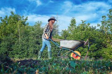 Farmer in rubber boots rolling wheelbarrow full of agricultural tools at sunset. Organic gardening