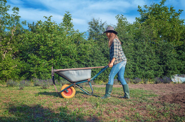 Farmer in rubber boots rolling wheelbarrow full of agricultural tools at sunset. Organic gardening
