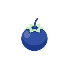 Isometric illustration of a single, vibrant blueberry.