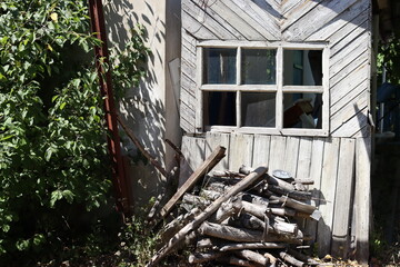 Old house in the garden. Window, trees and boards.