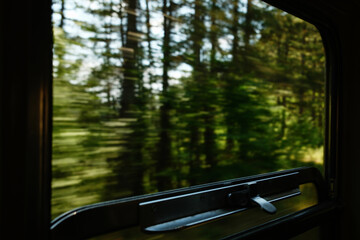Motion blur of pine trees seen from a retro train window in Mokra Gora, Serbia.