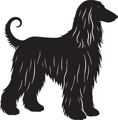 Elegant afghan hound silhouette in a graceful pose
