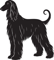 Elegant afghan hound silhouette vector illustration for design projects
