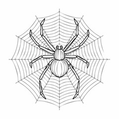 Obraz premium Detailed Spider Illustration on Web for Halloween or Educational Purposes Design Concept