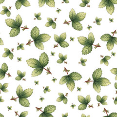 Detailed Strawberry Leaves Seamless Pattern 