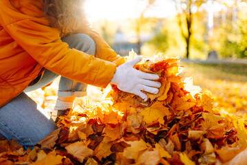 Close-up of a female volunteer in an orange jacket and gloves collects bright leaves on a sunny...