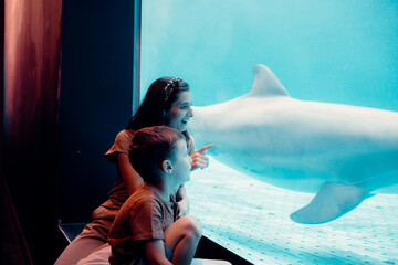 Mother and son observing bottlenose dolphin in aquarium
