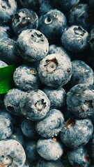 Fresh blueberries close-up 