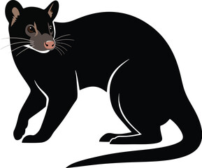 African civet wild animal silhouette vector illustration art