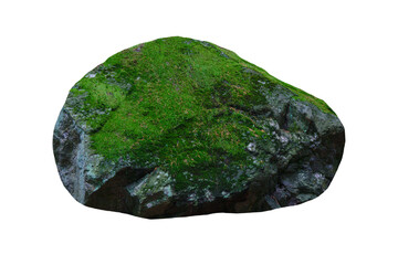 stone covered with green moss isolated on white background