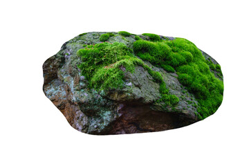 stone covered with green moss isolated on white background