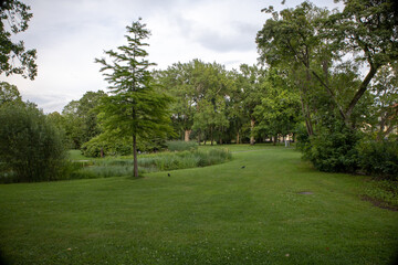 Scenic view of Orebro parks next to the flowing creek surrounded by natural greenery in central Sweden Orebro County