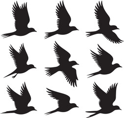 Fototapeta premium Flying birds silhouette collection. A vector graphic set of birds in various flight positions and wing motions.