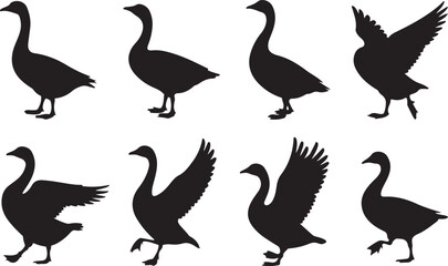 Obraz premium Set of black goose silhouettes in various dynamic poses. Vector graphic illustration of a wild bird for design elements.