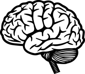 Human Brain Vector Illustration in Black and White