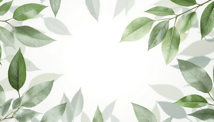 A clean, minimalist composition of fresh green leaves and branches framing