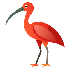 vector illustration of a bird