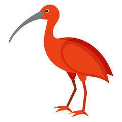 vector illustration of a bird