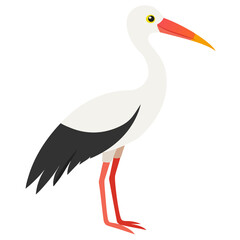 stork on white background