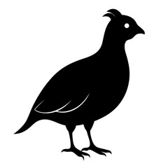 vector silhouette of a bird