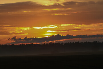 Dramatic sunset over misty forest silhouette in summer evening. Vivid summer sunset with golden clouds and mist over a dark forest skyline in peaceful countryside.