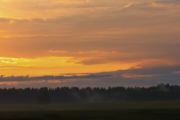 Dramatic sunset over misty forest silhouette in summer evening. Vivid summer sunset with golden clouds and mist over a dark forest skyline in peaceful countryside.