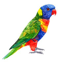 Obraz premium Vibrant Rainbow Lorikeet in Artistic Style