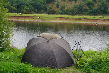 Summer landscape with lakeside fishing tent, rods, and sheep grazing across river in Nottingham, England.