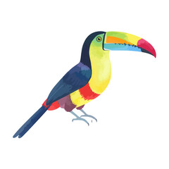 Fototapeta premium Colorful Watercolor Toucan with Large Beak Illustration