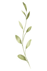 Fototapeta premium Single Watercolor Hand-Painted Flower Illustration on White Background, Ideal for Design Projects