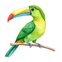 Fototapeta premium Vibrant green toucan with a rainbow-colored beak, perched on a simple wooden branch.