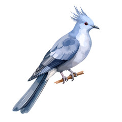 Fototapeta premium Elegant Blue-Grey Crested Bird with Striking Red Eyes Perched on a Branch, Detailed Watercolor Illustration