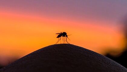 Silhouette of a Mosquito on Skin Against a Sunset Sky