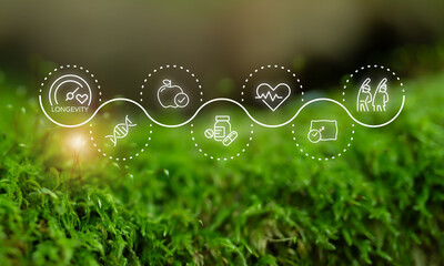 Longevity and wellness, longevity economy. Wellness and longevity icons along a wave path over a...