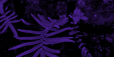 Painted red wall background. Modern abstract red water color background.	