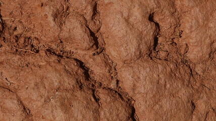Deserted Cracked Earth Background