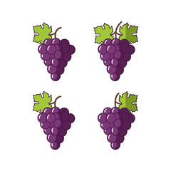 Assortment of Grape Bunches Purple 