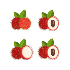 Rambutan Fruits Whole and Halved Illustrations