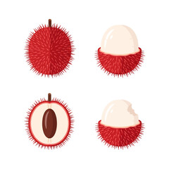Rambutan Fruits Whole and Halved Illustrations