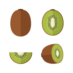Kiwi Fruit Whole Sliced and Halved Fresh Fruit Illustration