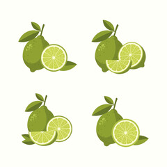 Fresh Limes and Slices Vibrant Citrus Fruit Illustration