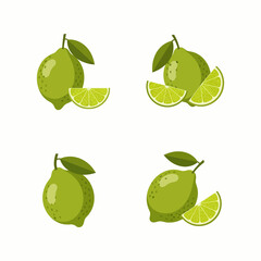 Fresh Limes and Slices Vibrant Citrus Fruit Illustration