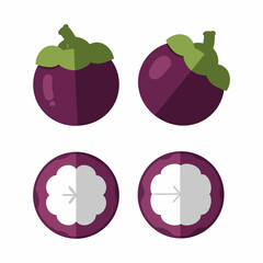 Mangosteen Fruit Illustrations Whole and Cut Sections