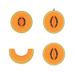 Cantaloupe melon sections in various views, orange fruit slices with seeds
