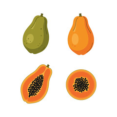 Papaya Fruit Illustrations Sliced Whole and Cross Sectional Views