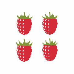 Four raspberry illustrations on a white background