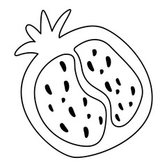 Pomegranate line art with visible seeds, minimalist vector illustration for botanical design or coloring page.