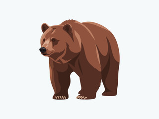 brown bear vector illustration