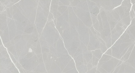 Obraz premium Elegant Light Gray Marble with Subtle White Veining