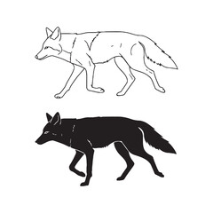 Balanced Coyote Silhouette & Coyote Lineart – Coyote Vector Artwork Featuring Clean Structure – Coyote Illustration – Silhouette and Lineart Set of Coyote

